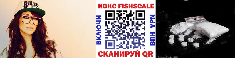 Кокаин Fish Scale  Купить закладки  Михайлов 