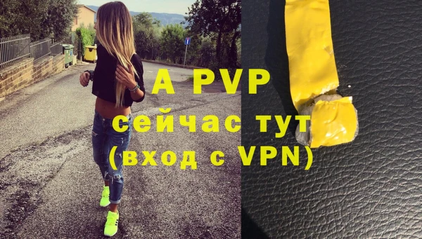 дмт Белокуриха