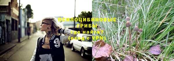 ECSTASY Баксан