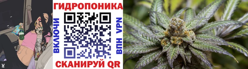 Бошки марихуана Bruce Banner  Купить где  Михайлов 